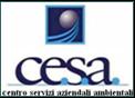 Logo cesaconsulting.it