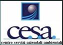 Logo Cesa Consulting S.r.l.