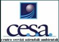 Logo Cesa consulting Dispositivi di sicurezza